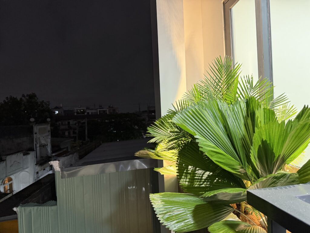 Bồn cây
