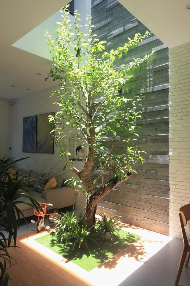 Kết nối con người với thiên nhiên