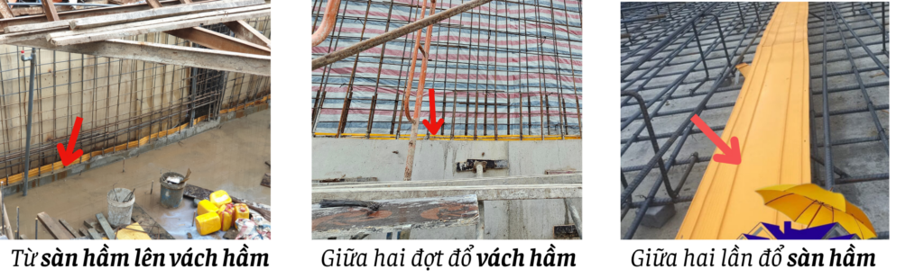 Mạch ngừng có thể xuất hiện ở nhiều vị trí khác nhau