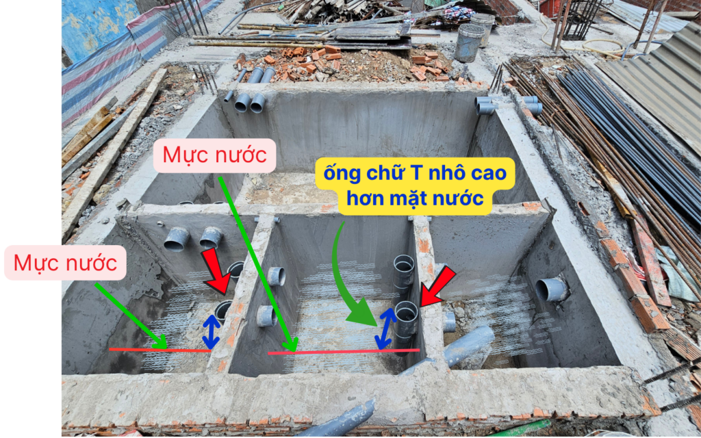 Mặt trên ống đứng chữ T phải cao hơn mặt nước trong bể