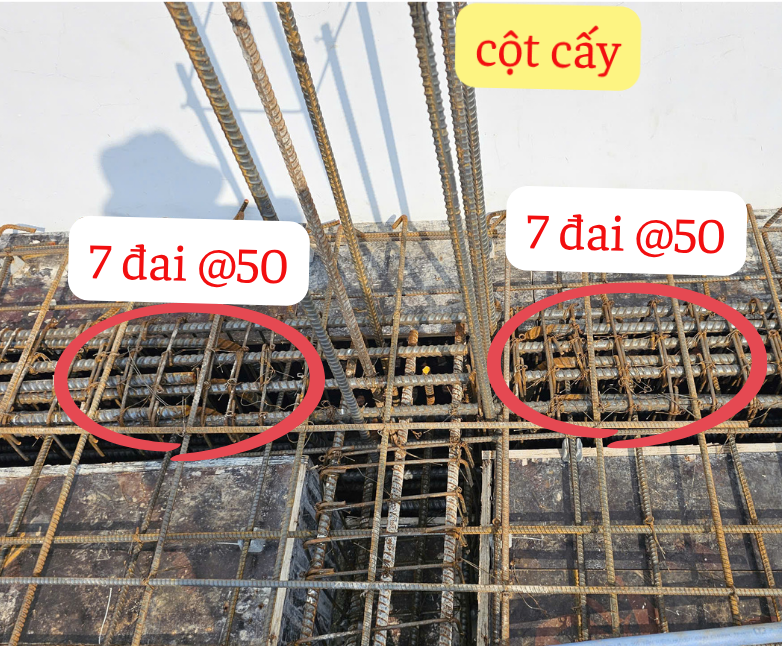 Bố trí đai tại vị trí cột cấy