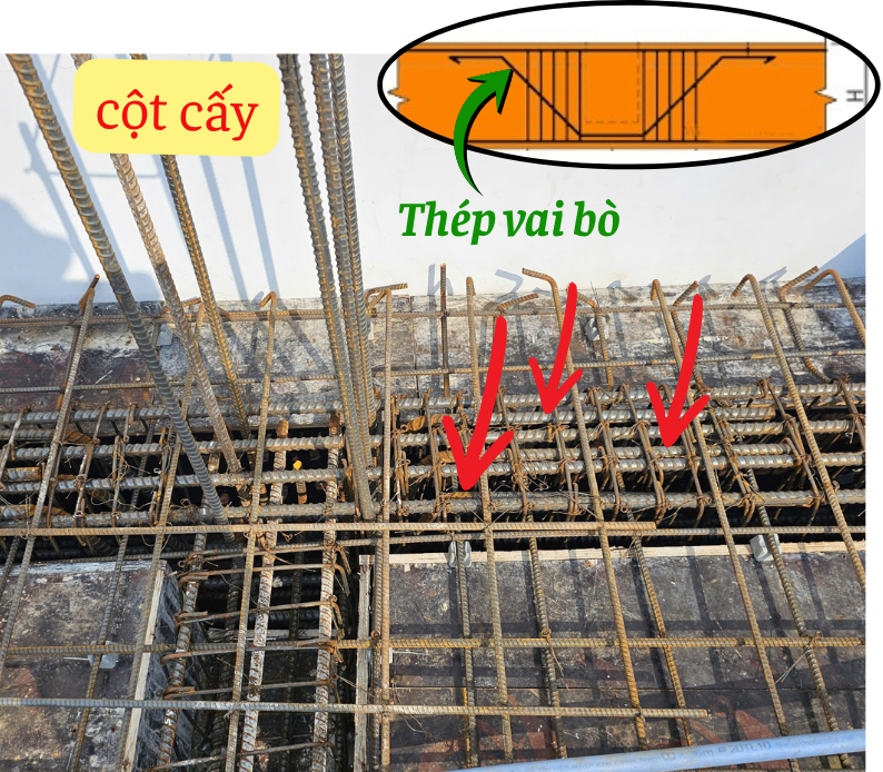 Bố trí thép vai bò