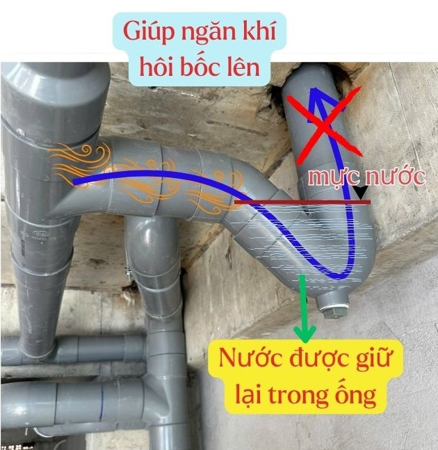 Nếu không có con thỏ, mùi hôi sẽ bốc mùi ở các phễu thu sàn và vào không gian sử dụng