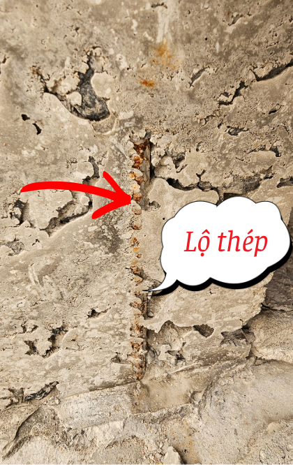 Thép cột bị lộ sau khi tháo cốp pha