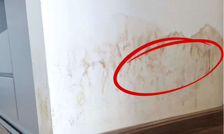 Chân tường bị thấm