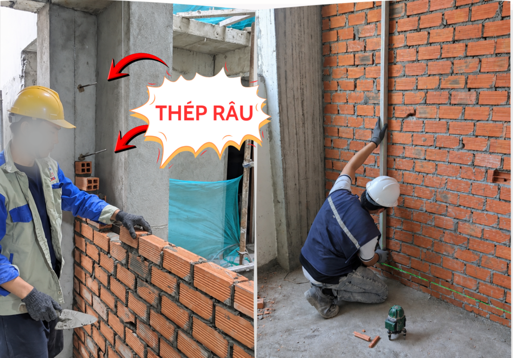 Thép râu